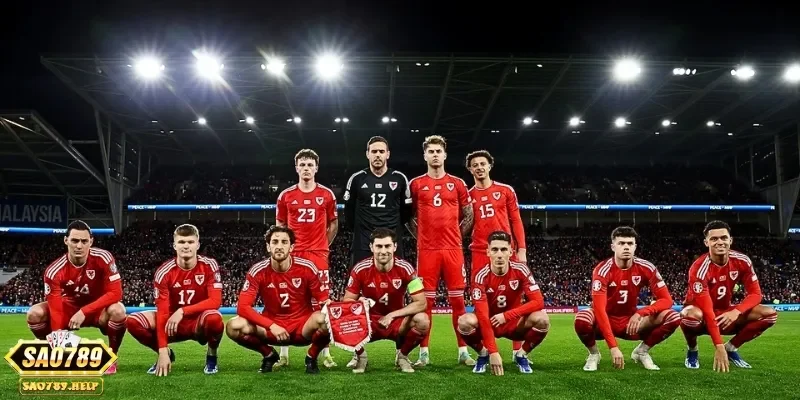 Đội tuyển này lần đầu có mặt tại vòng bán kết của UEFA Euro 2016