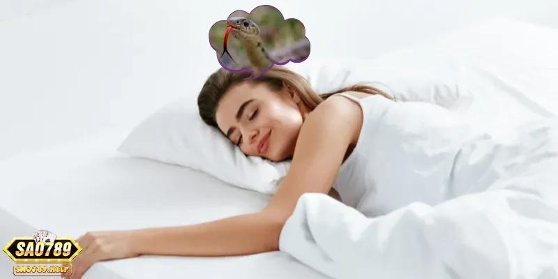 Gợi ý nằm mơ thấy rắn đánh con gì để thử thách vận may của mình