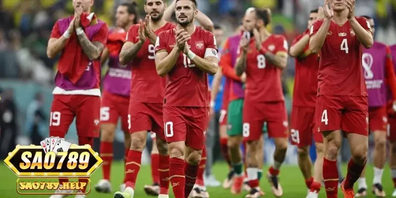 Lịch sử của đội tuyển