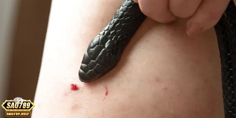 Mơ thấy rắn cắn có thể là sự hồi phục tuy nhiên còn tùy vào cảm giác khi bạn thấy giấc mơ đó