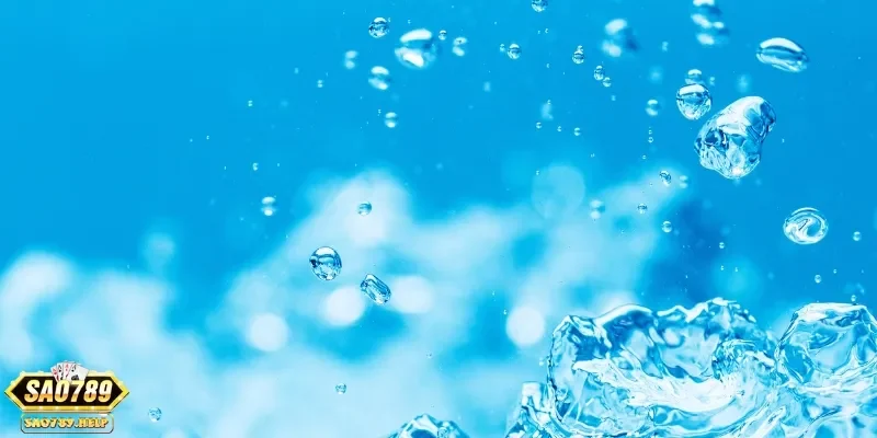 nam mo thay nuoc danh so gi