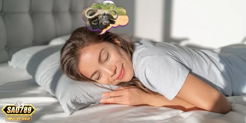 Mơ thấy trâu đang ăn cỏ báo hiệu một giai đoạn thư thái trong cuộc sống của bạn