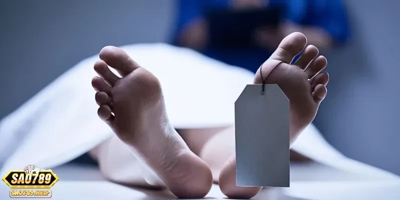 Tìm hiểu chung ý nghĩa của giấc mơ thấy người chết